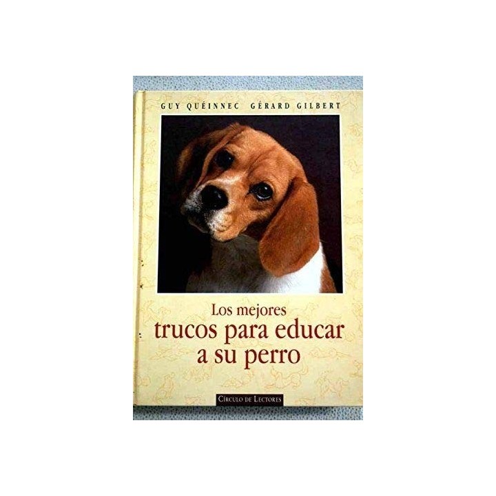 Los Mejores Trucos Para Educar A Su Perro